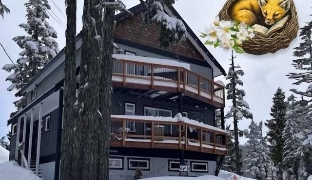 Cozy MW Alpine Village 1br. Close to the alpine lodge and hikes in the meadows!