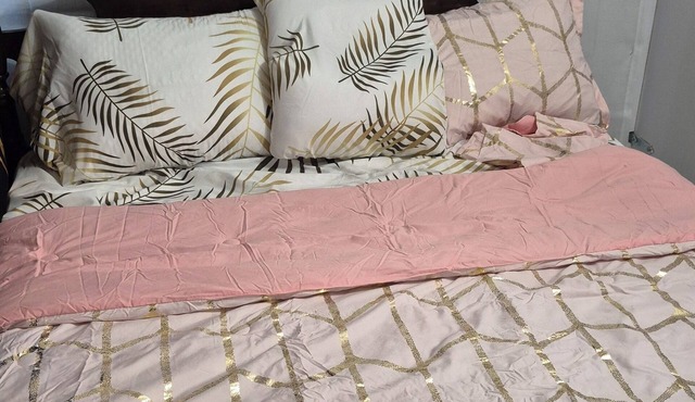 Cozy & Neat 1BR Suite– 5min Walk to Ksyen Reg Hosp | Ideal for Nurses & Visitors
