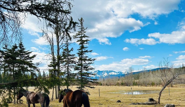 Cozy rustic cabin only 45 minutes from Jasper! Pet friendly. in Hinton