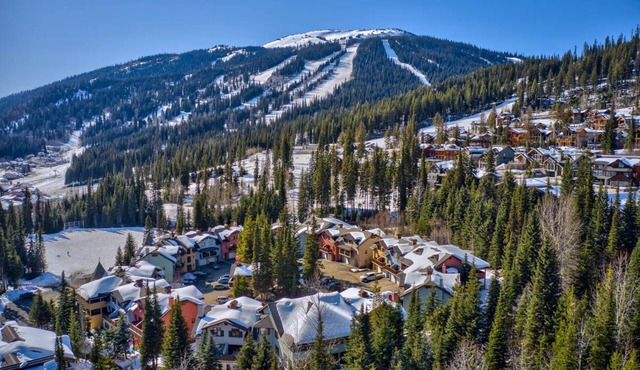 Cozy Ski In & Out, 3 Level, 3 Bedroom, 3 Bath w/Hot Tub & BBQ! SPRM #1031