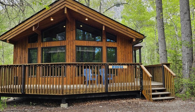 Crowsnest River Chalet - Moose in Crowsnest Pass