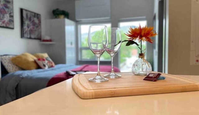 Cute n Cozy Luxury Suite and Okanagan Lake front access