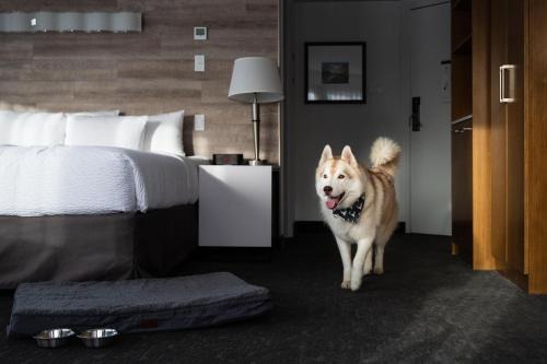 Elk + Avenue Hotel
