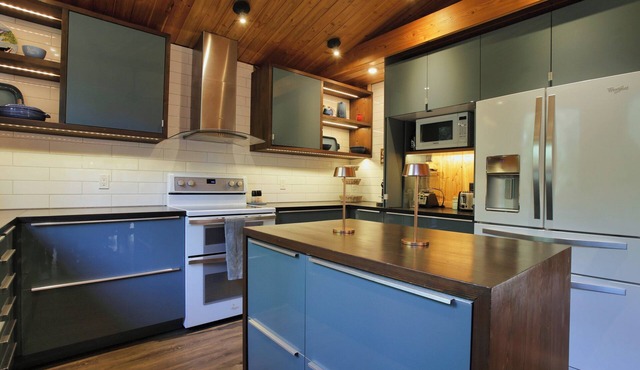 Family and pet friendly Ski and bike retreat in Ymir
