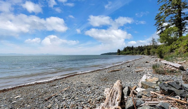 Family-friendly Beach House with Private Beach; ocean minutes outside the door!