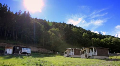 Forest Cabins in Kazbegi