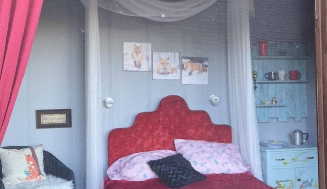 Foxy Den Chalet Cabin - 1 room Nestled in the valley Pet friendly! Off grid camp