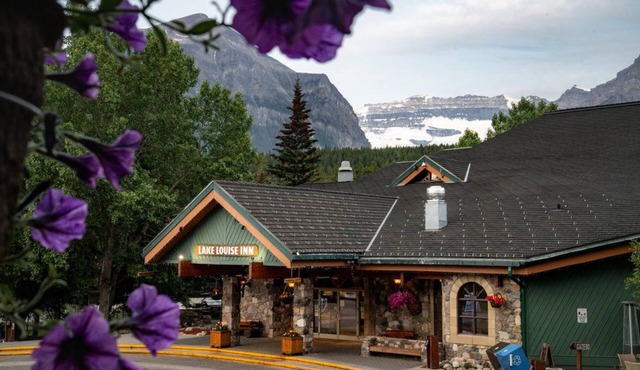 Great Location! Cozy Charming Lake Louise Getaway