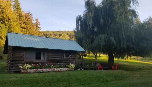Historic Log Cabin & with RV space at White Lake
