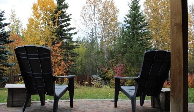 Kitchenette Suite with King & Queen beds, Quiet Forest views from patio with BBQ