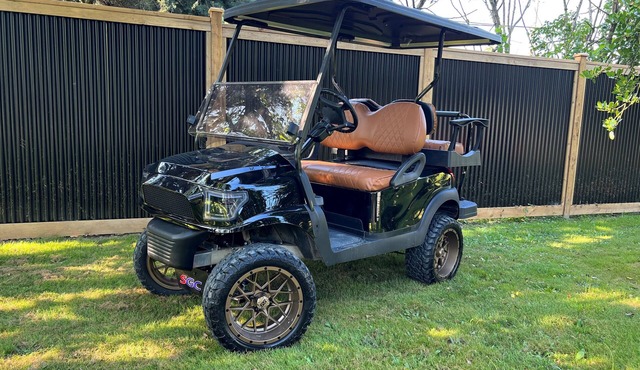 Lake and Mountain Views | Golf cart | Boat slip
