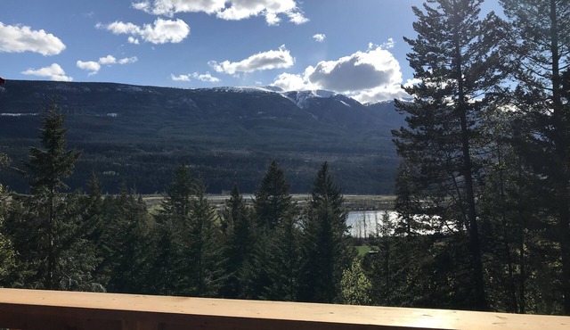 Log Cabin with Amazing views and River access!