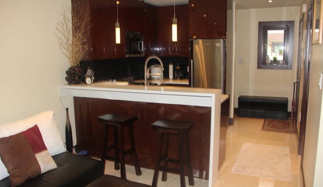 Luxurious Brand-New 2-BR Point Grey Laneway House with Balconies and View