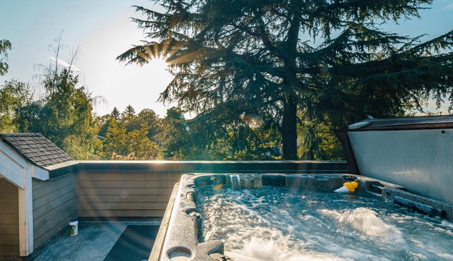 Luxurious Mansion With Gym & HotTub - Central West Vancouver in Vancouver