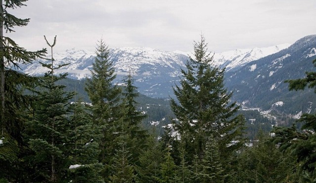 Luxury 4 Bedroom TRUE Ski in/ski out Townhome in Exclusive Taluswood