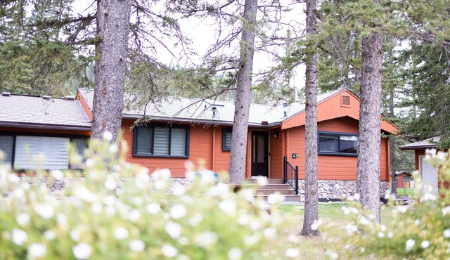 Mountain Cabin w/Gym/Sauna 5mins to hike/bike/ski trails & local shopping/dining