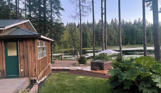 Mountain retreat on a private lake with a hot tub and more! in Campbell River