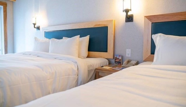 Newly Renovated, Bright Suite on Tunnel Mountain!