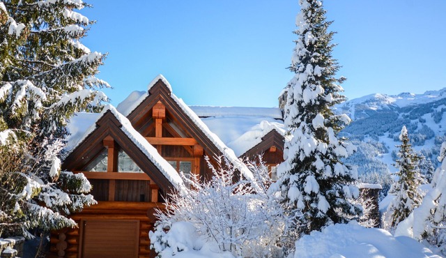 Nicest 3 bedroom in Whistler