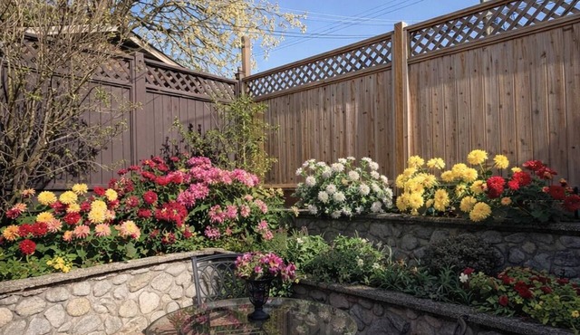 North Vancouver near waterfront Shipyards private 1 bedroom coach house , pet ?
