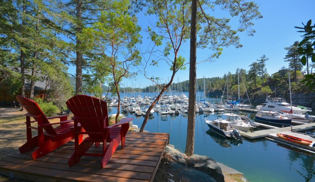 Ocean Breeze Bungalow: Relax by the Waterfront with Modern Comfort and Scenic Views in GARDEN BAY