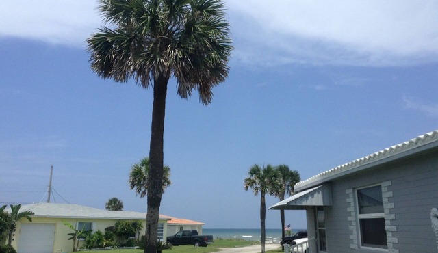 Ocean view cottage in Ormond by the Sea-now avail month Dec 2026 in Ormond Beach