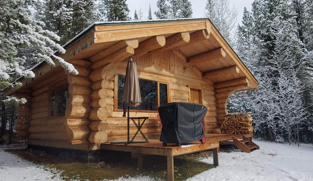 Off-Grid Secluded Log Cabin. Explore Nature, Hiking, Wildlife & Stargazing Await