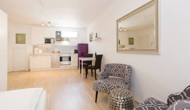 Opera Apartment Top 13 - Christian Apartments in Vienna