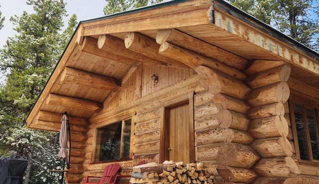Pet-Friendly Off-grid Log Cabin, Hiking, Mountain Air and Dark Skies Await!