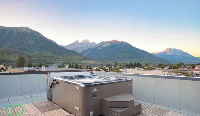 Pet Friendly Loft/Rooftop Hot Tub & Views