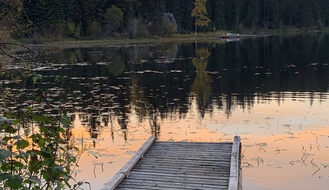 Private lake view cabin. Steps away to Higgins Lake in Lone Butte