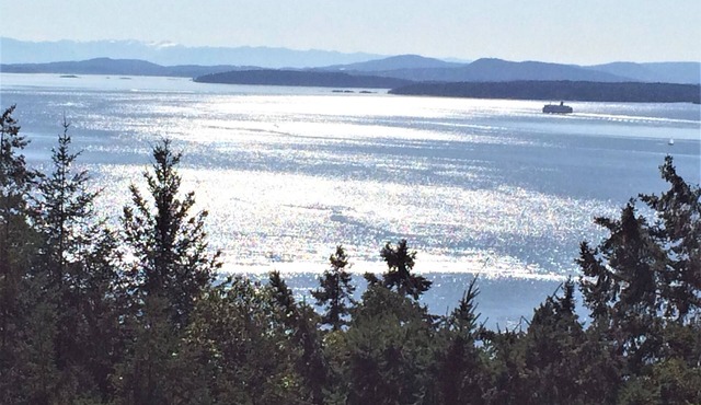 Private, spectacular ocean vistas, swimming pool, EV charger !