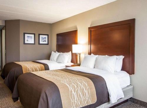 Quality Inn & Suites Orland Park - Chicago in Orland Park