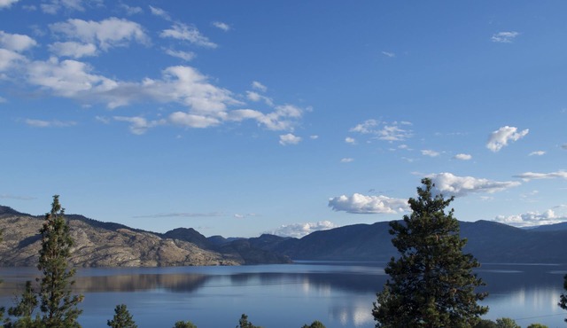 RELAX, You're on LAKE TIME! Business Licence # 5532