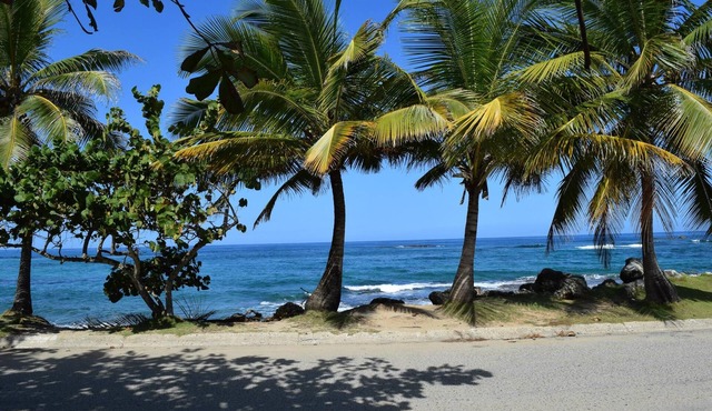 Relaxed Oceanfront home on quiet palm fringed Beach with large Oceanfront patio in Hatillo