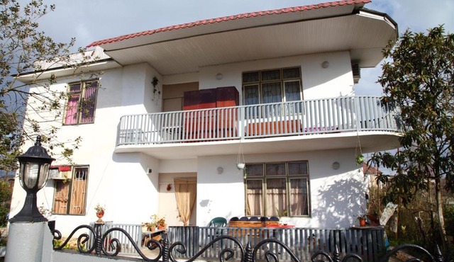 Romashka Guest house in Sukhum