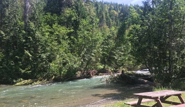Secluded Campground Retreat: Ideally for Campers | 1 Unit in Cherryville, BC