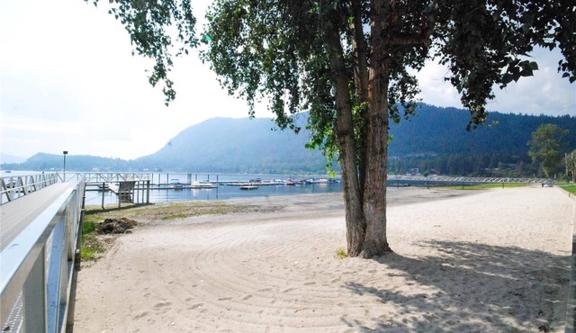 SHUSWAP SUN, SAND, SURF AND SLEDDING!