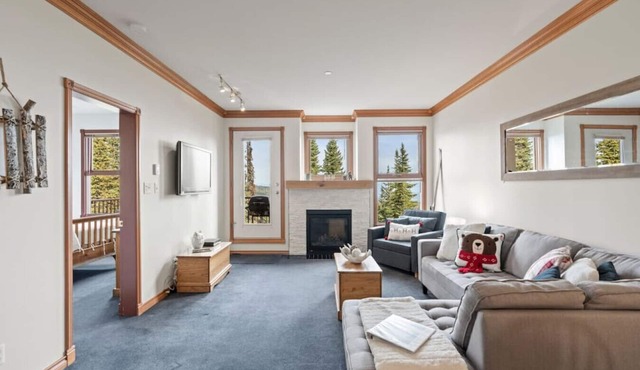Silver Peaks - 2bed, 2bath ski-in/Ski-out