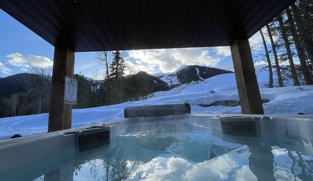 Ski-In Chalet at Fernie Alpine Swim Spa & Sauna B