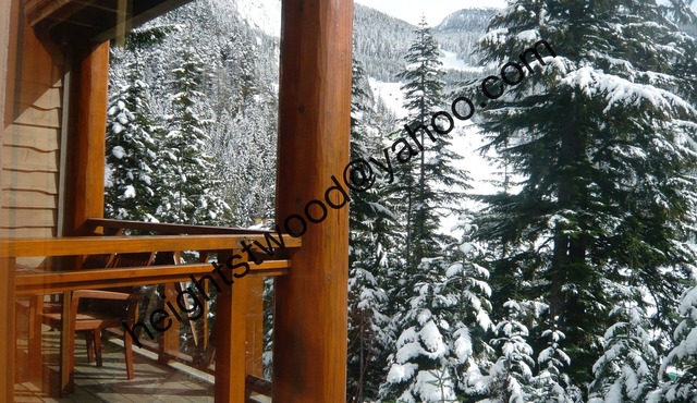 Ski in & Ski out 4 bedroom home above Creekside
