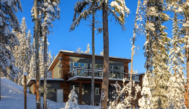 SKI-IN/SKI-OUT. Just built, 4 bedroom, 3.5 bathroom modern Town home, sleeps 12