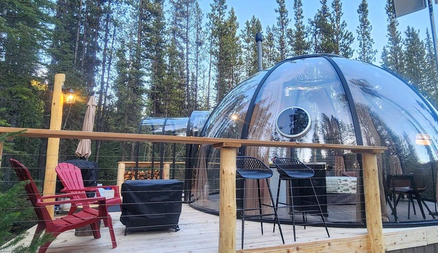 Sleep Under the Stars ✨ Private Off-Grid Dome: a Forest Escape & Mountain Views