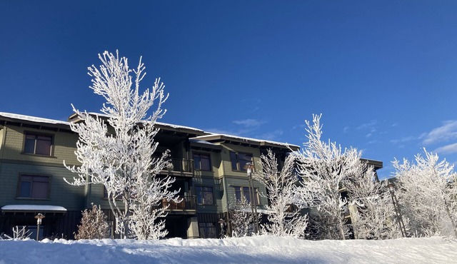 Spacious Ski in/Ski out condo at the Base of Red Mountain!