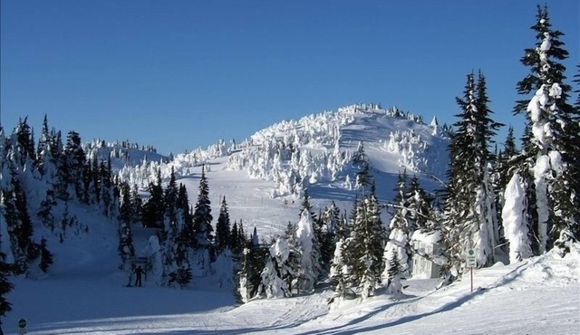 The Best Ski in/Ski Out Location with Private Hot Tub & Bbq