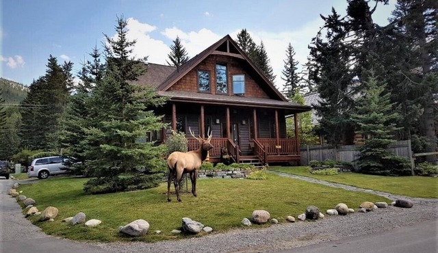 The Cedar - Downtown, walking distance to all the shops and restaurants!
