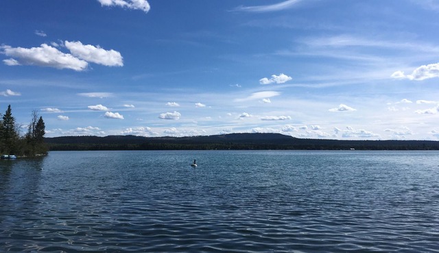 The Islander Cottage on the sunny Shuswap