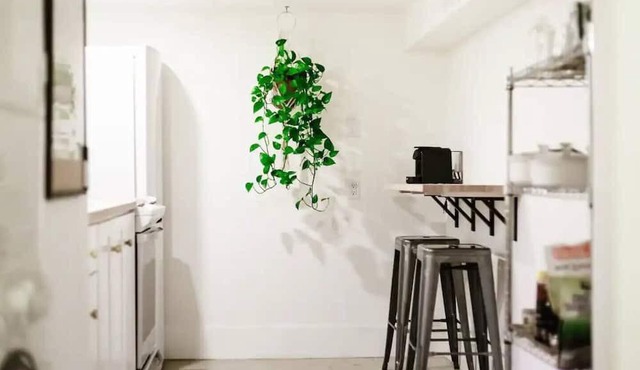 This house is a 1 bedroom(s), 1 bathrooms, located in Kelowna, BC.