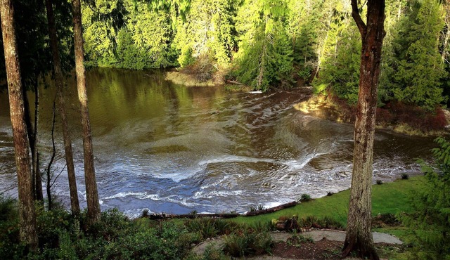 Tidal Dance at Halfmoon Bay: “.a little piece of Paradise”
