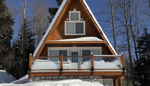 True Ski-in/Ski-out Cabin at Burfield Heights